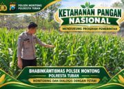 Mendukung Asta Cita Presiden bhabinkamtibmas Polsek Montong Polresta Tuban Pantau Kodisi Tanaman Jagung Milik Warga Desa pakel