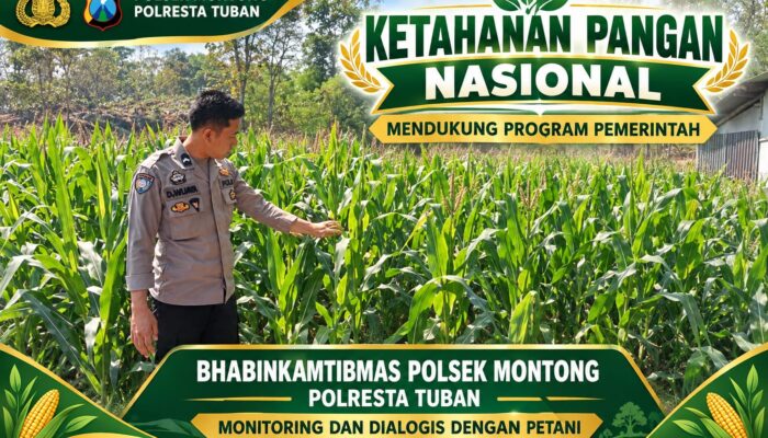 Mendukung Asta Cita Presiden bhabinkamtibmas Polsek Montong Polresta Tuban Pantau Kodisi Tanaman Jagung Milik Warga Desa pakel
