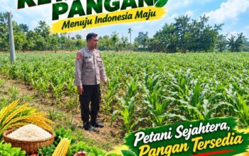 Polri Dukung Astacita, Polsek Merakurak Polresta Tuban Turun Cek Tanaman Jagung Warga di Desa Tuwiri Wetan
