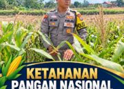 Dukung Ketahanan Pangan Nasional, Polsek Kenduruan Polresta Tuban Pantau Perkembangan Tanaman Jagung Milik Petani