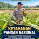 Dukung Ketahanan Pangan Nasional, Polsek Kenduruan Polresta Tuban Pantau Perkembangan Tanaman Jagung Milik Petani