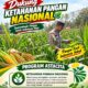 Kawal Swasembada Pangan, Polsek Jatirogo Pantau Langsung Tanaman Jagung di Paseyan