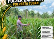 Polsek Bangilan Dukung Ketahanan Pangan Nasional