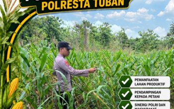 Polsek Bangilan Dukung Ketahanan Pangan Nasional