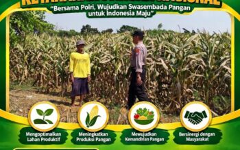 ANGGOTA POLSEK KEREK DAMPINGI PETANI, WUJUDKAN KETAHANAN PANGAN NASIONAL