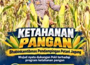 Polsek Soko Polresta Tuban Turun Langsung Cek Tanaman Jagung Warga