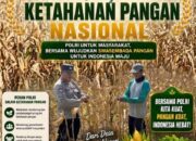 Dukung Ketahanan Pangan Nasional, Bripda Dodi Monitoring Hasil Panen Jagung di Desa Tergambang