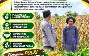 Polri Dukung Astacita, Polsek Rengel Polresta Tuban Turun Cek Tanaman Jagung Warga di Desa Sawahan