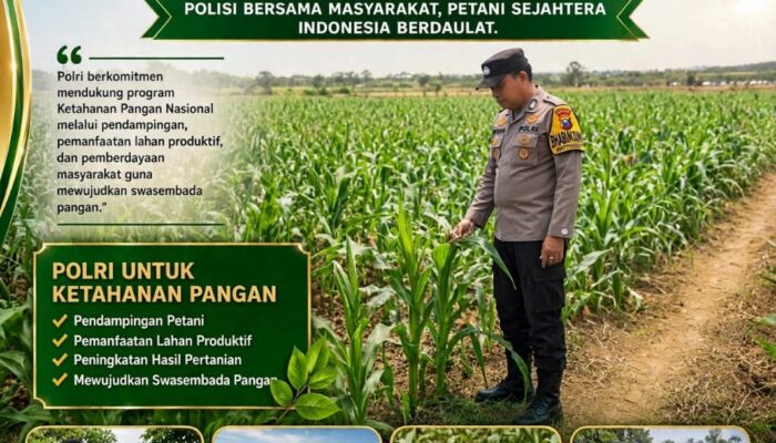 POLSEK KEREK POLRESTA TUBAN LAKUKAN PEMANTAUAN TANAMAN JAGUNG WARGA BINAAN, DUKUNG KETAHANAN PANGAN NASIONAL