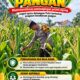 Mendukung Program Ketahanan Pangan, Bhabinkamtibmas Monitoring Pertumbuhan Jagung