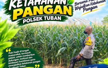 Polsek Tuban Dukung Ketahanan Pangan Nasional melalui Pemantauan Tanaman Jagung