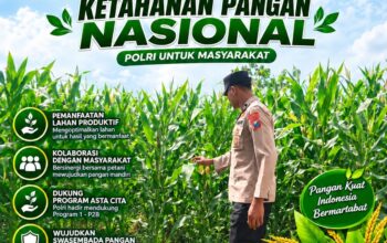Anggota Polsek Singgahan Polresta Tuban Turun Cek Tanaman jagung Warga di Desa Tingkis