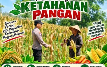 Bhabinkamtibmas Polsek Senori Polresta Tuban Pantau Tanaman Jagung Warga Desa Sendang Guna Dukung Ketahanan Pangan Nasional