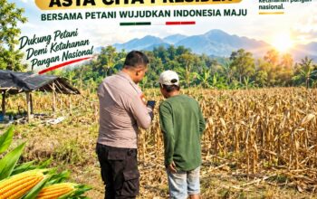 Polsek Plumpang Polresta Tuban Turun Langsung Cek Tanaman Jagung Warga
