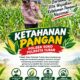 Polsek Soko Polresta Tuban Turun Langsung Cek Tanaman Jagung Warga