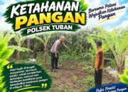 Polsek Tuban Dukung Ketahanan Pangan, Bhabinkamtibmas Sambangi Lahan Pekarangan Warga