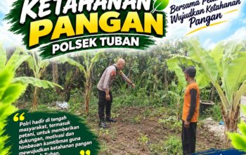 Polsek Tuban Dukung Ketahanan Pangan, Bhabinkamtibmas Sambangi Lahan Pekarangan Warga