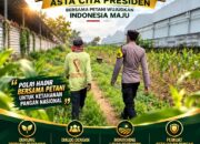 Polsek Plumpang Polresta Tuban Turun Langsung Cek Tanaman Jagung Warga