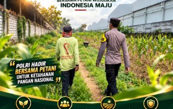 Polsek Plumpang Polresta Tuban Turun Langsung Cek Tanaman Jagung Warga