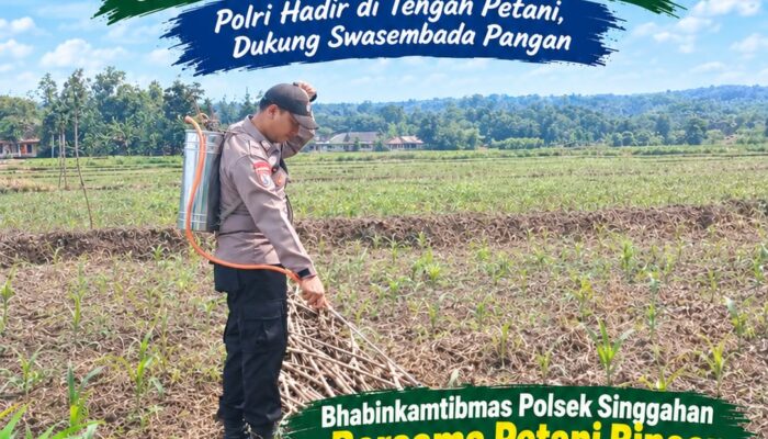 Anggota Polsek Singgahan Polresta Tuban Turun Cek Tanaman jagung Warga di Desa Lajo Lor