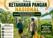 Polri Dukung Astacita, Polsek Rengel Polresta Tuban Turun Cek Tanaman Jagung Warga di Desa Rengel