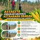 Dukung Astacita, Polsek Palang Polresta Tuban Pantau Langsung Lahan Jagung milik warga Desa Dawung