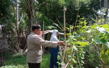 Dukung Program Asta Cita Presiden RI, Bhabinkamtibmas Desa Marga Karya Sambangi Warga Pemanfaat Pekarangan Pangan Bergizi