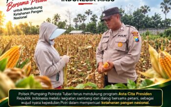 POLSEK BANGILAN DUKUNG KETAHANAN PANGAN NASIONAL MELALUI MONITORING DAN PENDAMPINGAN HASIL PANEN JAGUNG WARGA