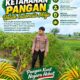 Anggota Polsek Singgahan Polresta Tuban Turun Cek Tanaman jagung Warga di Desa Tingkis