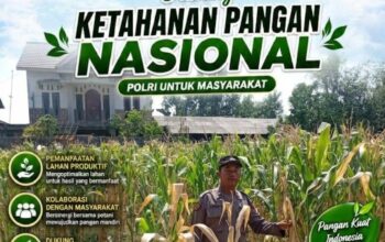 Polri Dukung Astacita, Polsek Rengel Polresta Tuban Turun Cek Tanaman Jagung Warga di Desa Sawahan