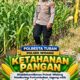 Mendukung Program Ketahanan Pangan, Bhabinkamtibmas Monitoring Pertumbuhan Jagung
