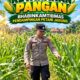 Mendukung Program Ketahanan Pangan, Bhabinkamtibmas Monitoring Pertumbuhan Jagung