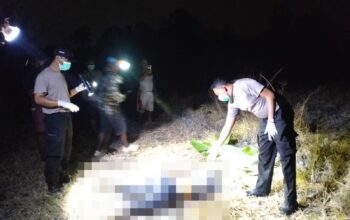 Warga Lape Digegerkan Penemuan Mayat Perempuan di Area Persawahan, Korban yang Sempat Dilaporkan Hilang Dievakuasi Polsek Lape