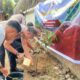 Program Green Policing Implementasi, Kapolres Bima Kabupaten Pimpin Penanaman Pohon Serentak