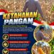 Mendukung Program Ketahanan Pangan, Bhabinkamtibmas Monitoring Pertumbuhan Jagung