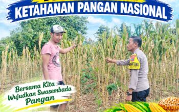 Polsek Palang Dukung Ketahanan Pangan Nasional Melalui Pemantauan Lahan Jagung
