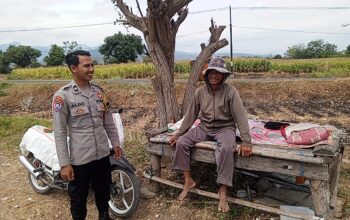 Dukung Ketahanan Pangan Nasional, Bhabinkamtibmas Desa Rhee Turun Ke Sawah Bantu Petani Merawat Tanaman