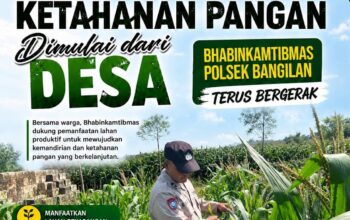 ANGGOTA POLSEK BANGILAN DUKUNG KETAHANAN PANGAN TANAMAN JAGUNG