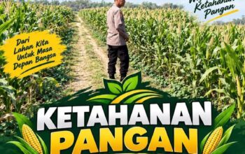 Polsek Soko Polresta Tuban Turun Langsung Cek Tanaman Jagung Warga