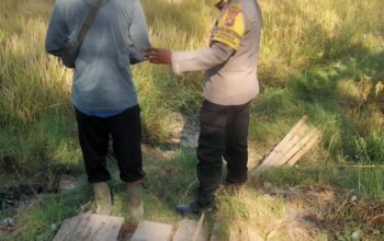 Dukung Ketahanan Pangan Nasional, Bhabinkamtibmas Desa Songkar Ajak Petani Kembangkan Tanaman Hortikultura