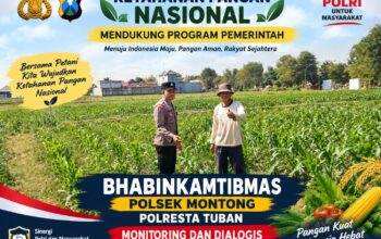 Mendukung Asta Cita Presiden bhabinkamtibmas Polsek Montong Polresta Tuban Pantau Kodisi Tanaman Jagung Milik Warga Desa pakel