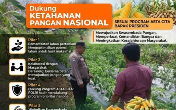 Polsek Grabagan Polresta Tuban Turun Langsung Cek Tanaman Jagung Warga