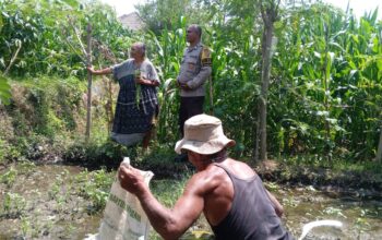 Bhabinkamtibmas Kelayu Selatan Cek Tanaman Jagung, Dukung Ketahanan Pangan dan Sampaikan Imbauan Kamtibmas