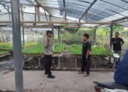 Bhabinkamtibmas Desa Paokmotong Bripka Firman Setiawan Monitoring Lahan Pekarangan Pangan Bergizi Dukung Ketahanan Pangan