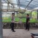 Bhabinkamtibmas Desa Paokmotong Bripka Firman Setiawan Monitoring Lahan Pekarangan Pangan Bergizi Dukung Ketahanan Pangan